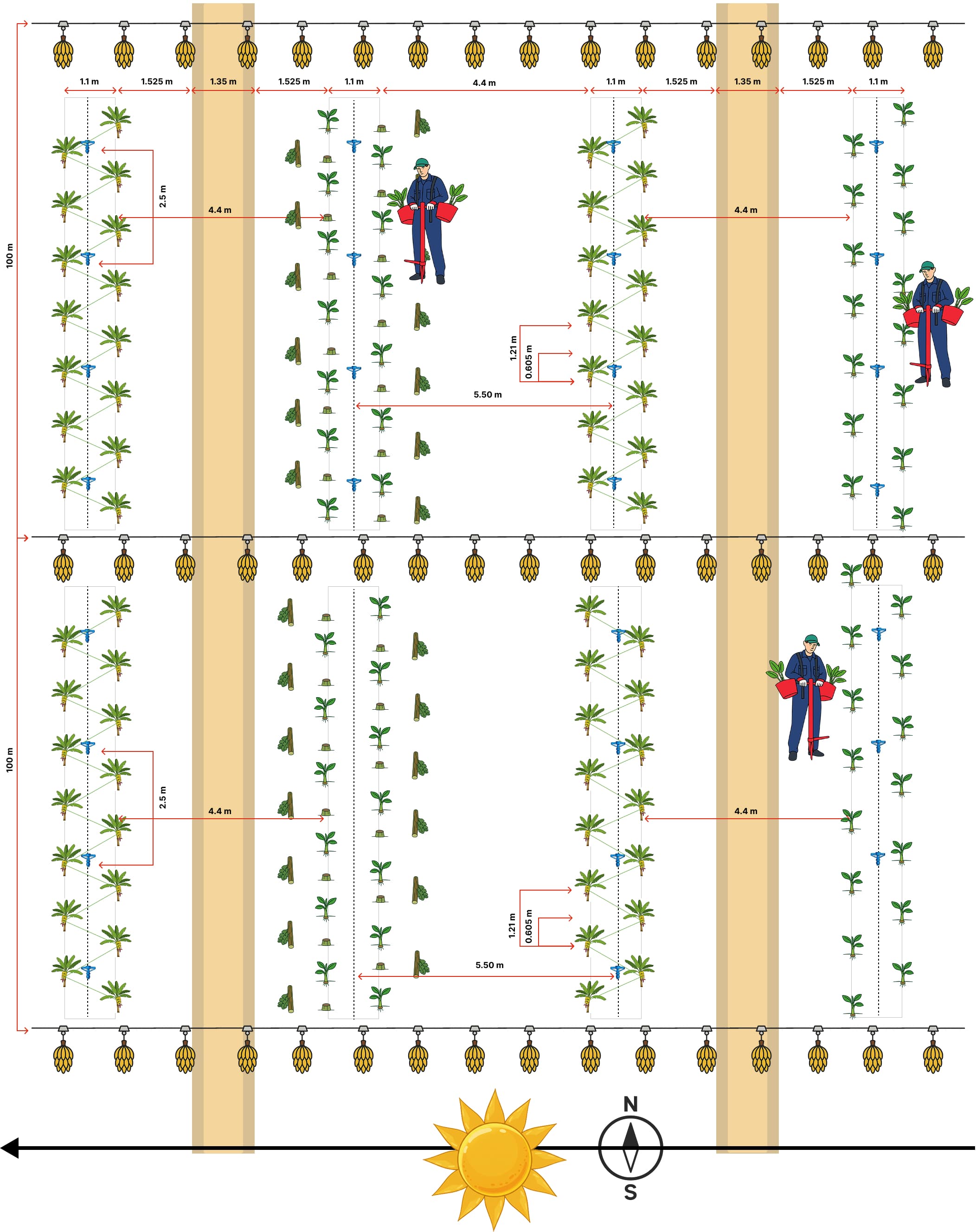 CropTiming Layout